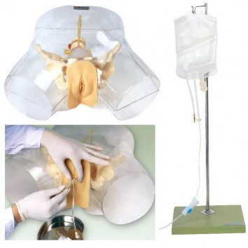 TRANSPARENT ADVANCED MALE URETHERAL CATHETERIZATION SIMULATOR